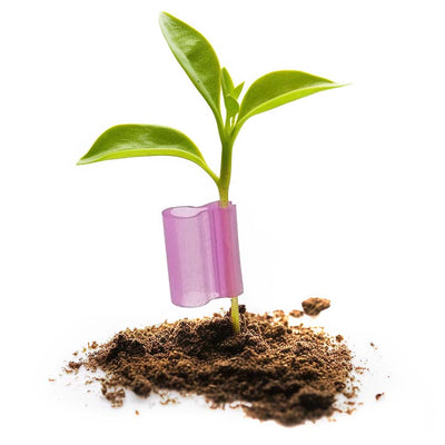 Micro Grafting Clips